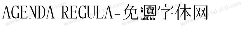 AGENDA REGULA字体转换